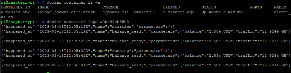 Pawns App Docker Container on Raspberry Pi